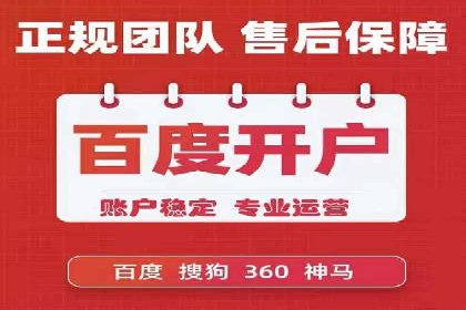 某行业巨头背后的SEM代运营服务公司